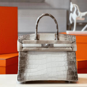 Hermes Birkin Himalaya Albino Crocodile Leather Handbag 30cm