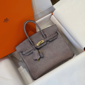 Hermes Birkin 25 Tris Fonce Lizard