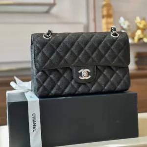 Chanel Classic 11 Handbags Woman’s Black Leather Lock Silver 23cm