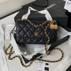Chanel WOC Topest Quality Golden Hardware
